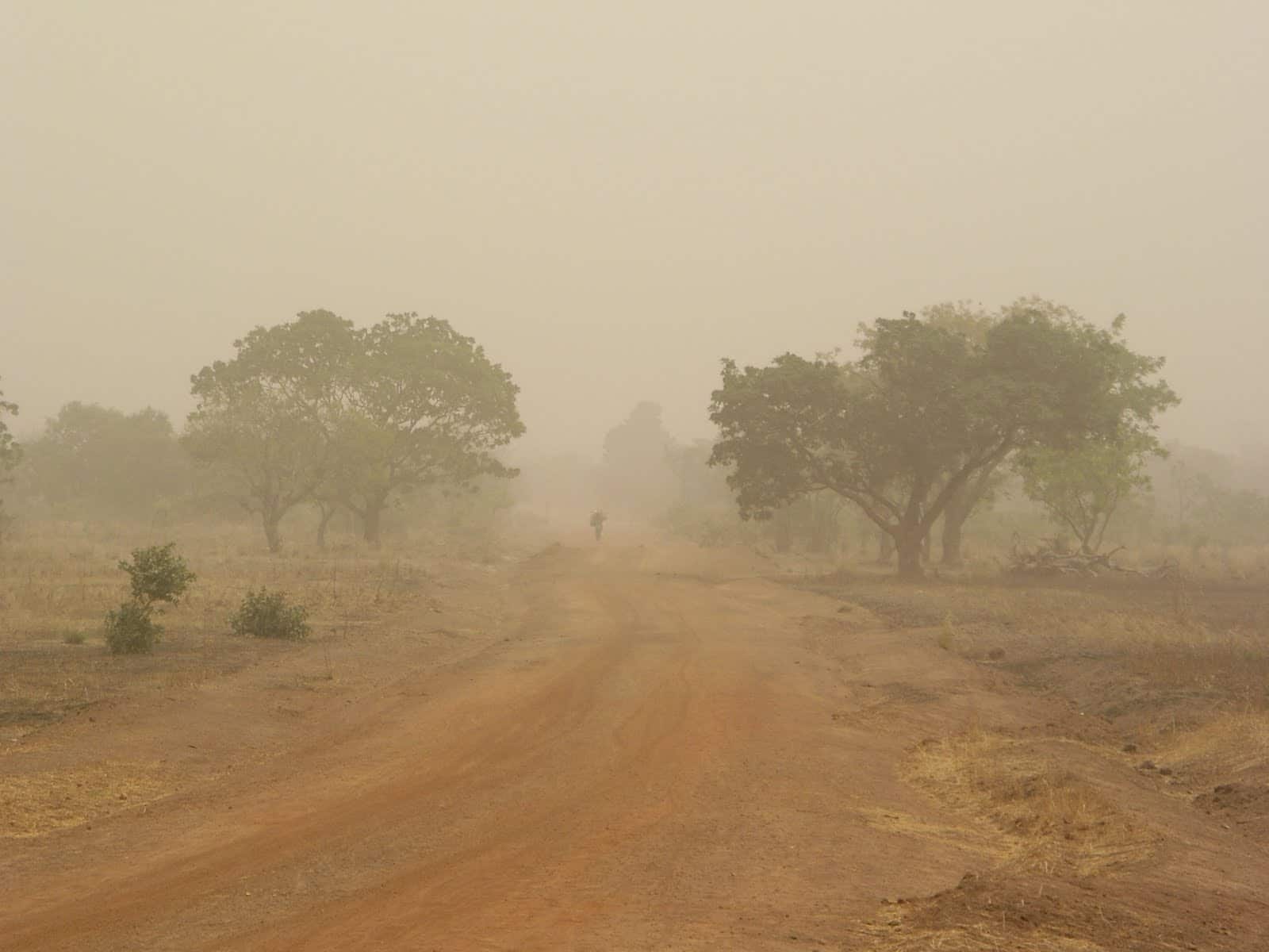 Harmah Landscape