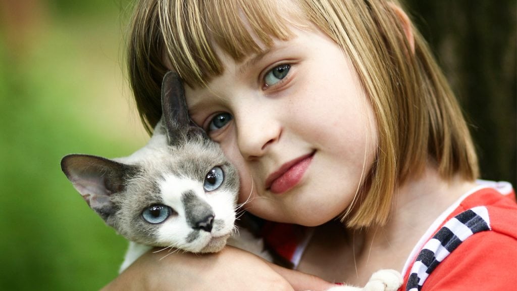 Cat being cuddled by a kid. They are still loved by human despite non mention in the Bible | Photo credit: Animalist