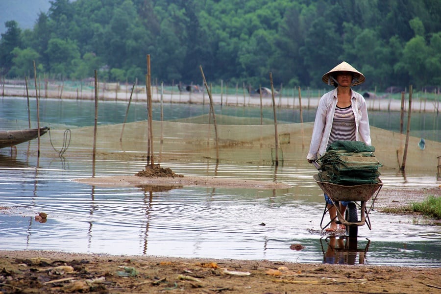 The impact of sad realities as because of climate change in Vietnam|Photo credit: uqinvietnam.com