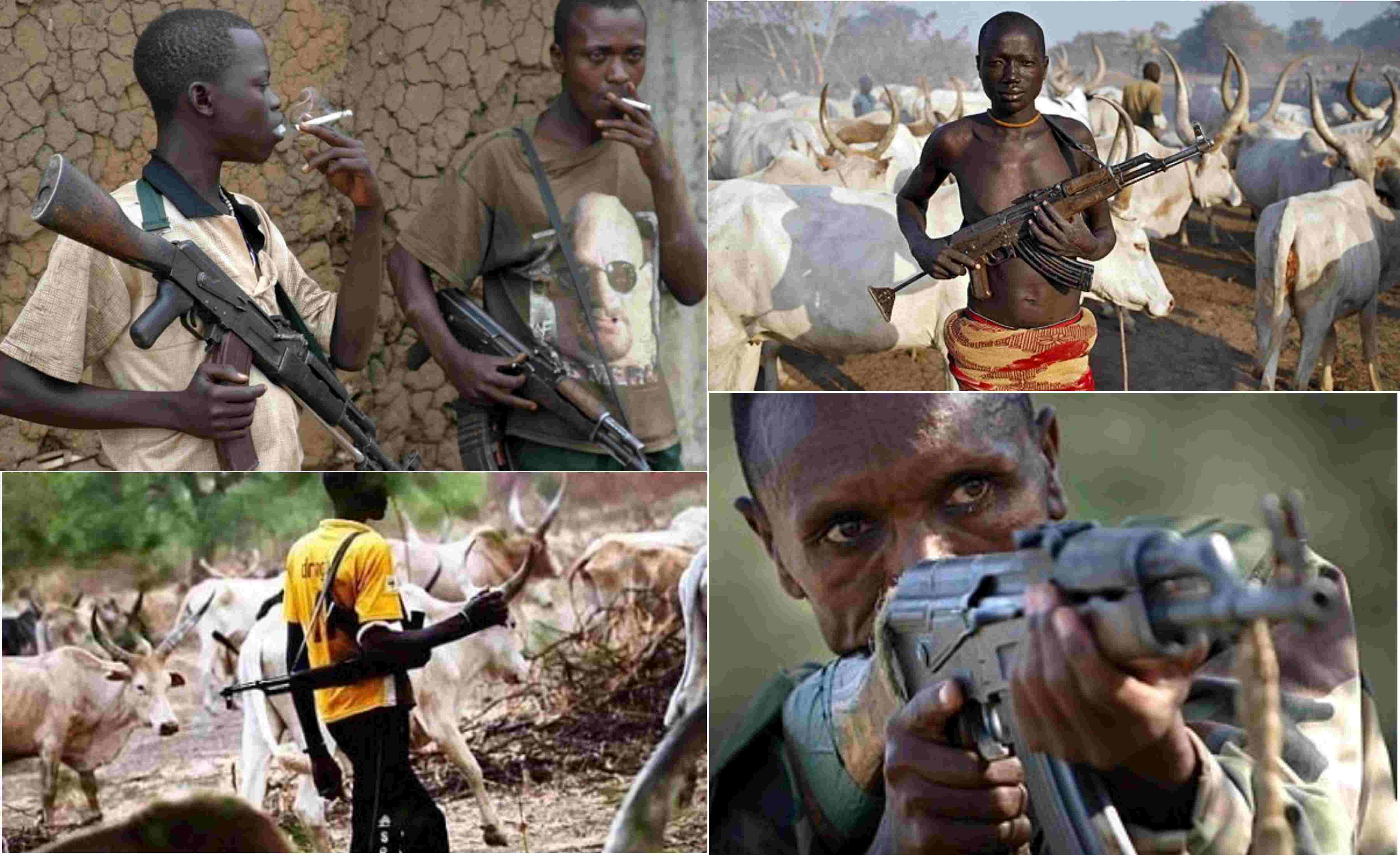 Fulani Herdsmen Armed With AK-47