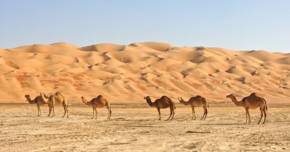 Hell On Earth The Hottest Places On The Planet Page 8   Rub Al Khali Saudi Arabia 