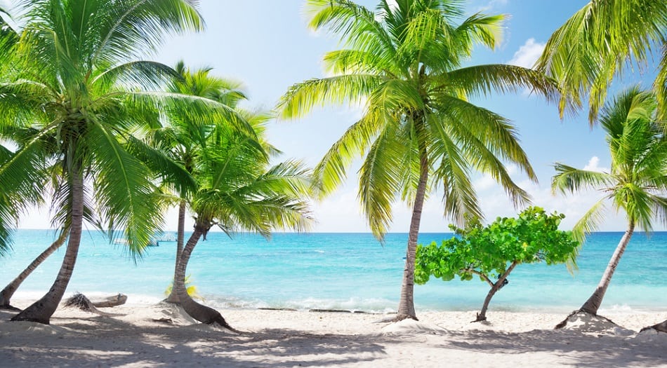 19 Reasons Visitors LOVE the Dominican Republic