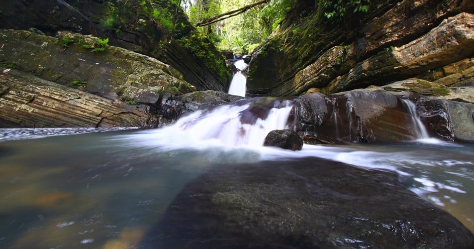 A tranquil rainforest cascade above La Mina Falls