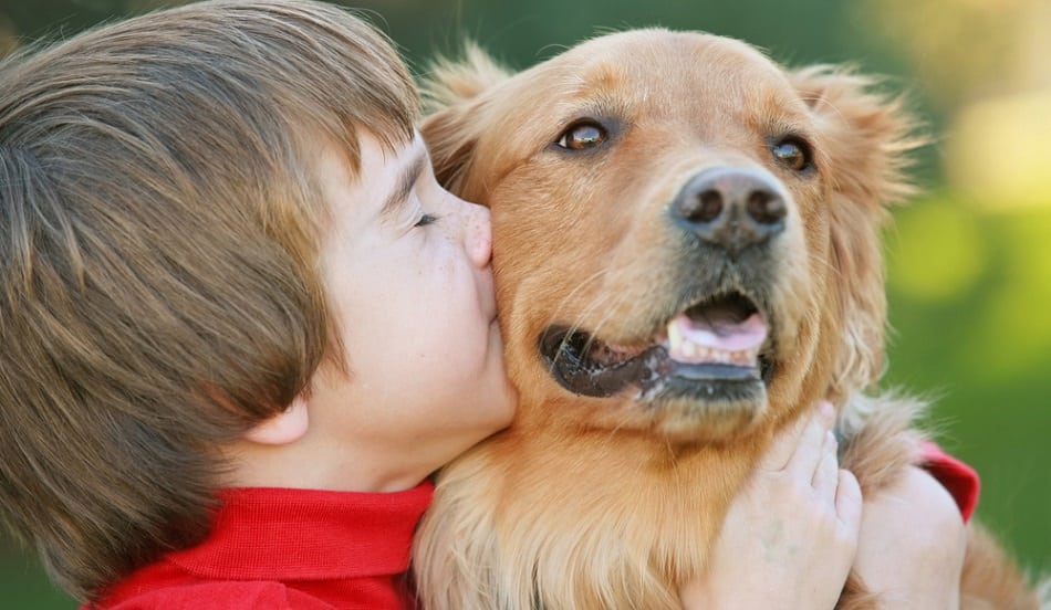 dog and child