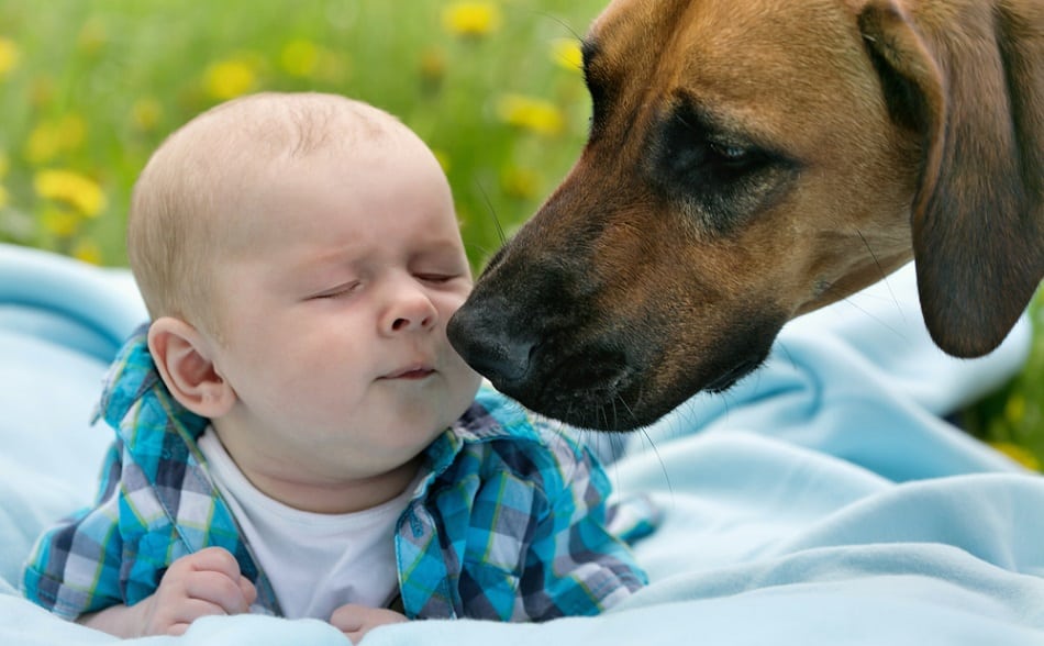 Baby and Dog