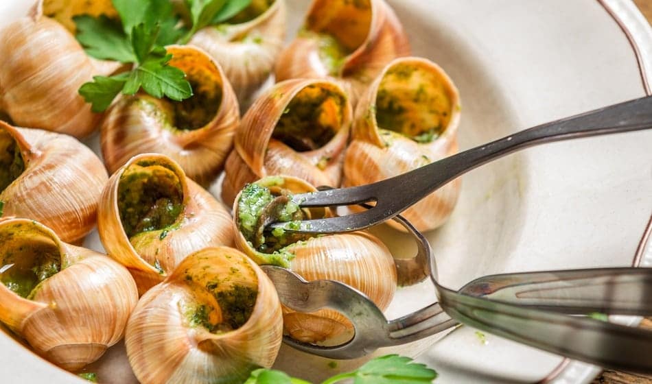 snail dish