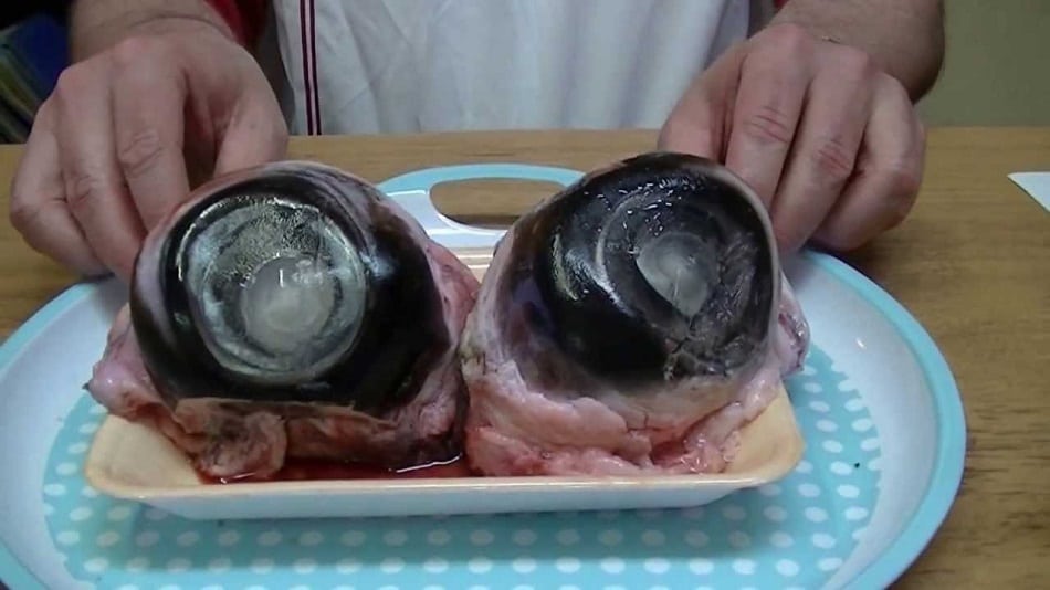 Tuna Eyeballs Meal