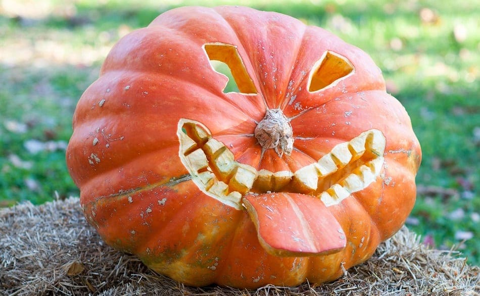28 Funny/Scary Pumpkin Design Photos – Page 19