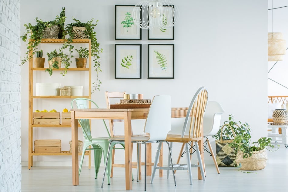 hygge home with plants