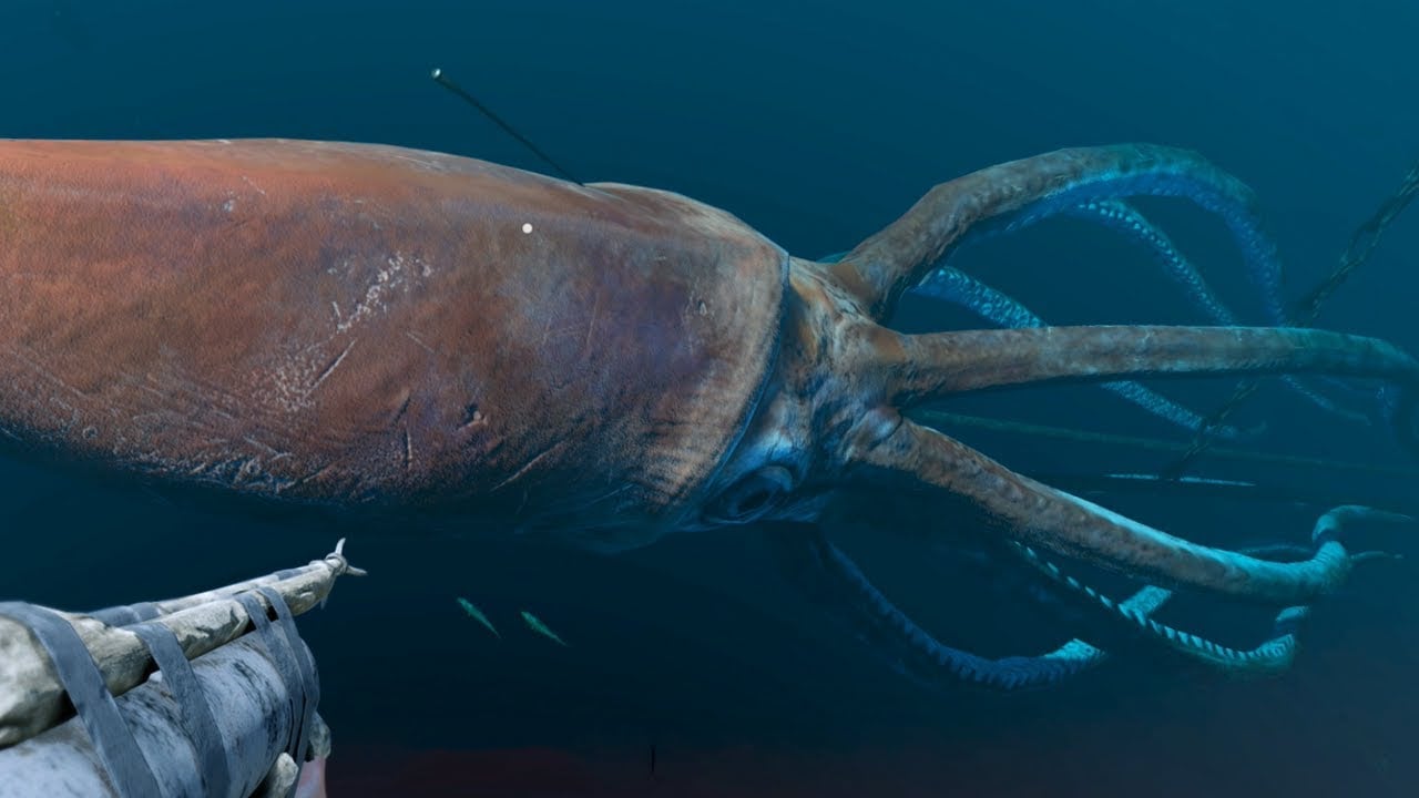 researchers-say-climate-change-caused-1-800-mile-humboldt-squid