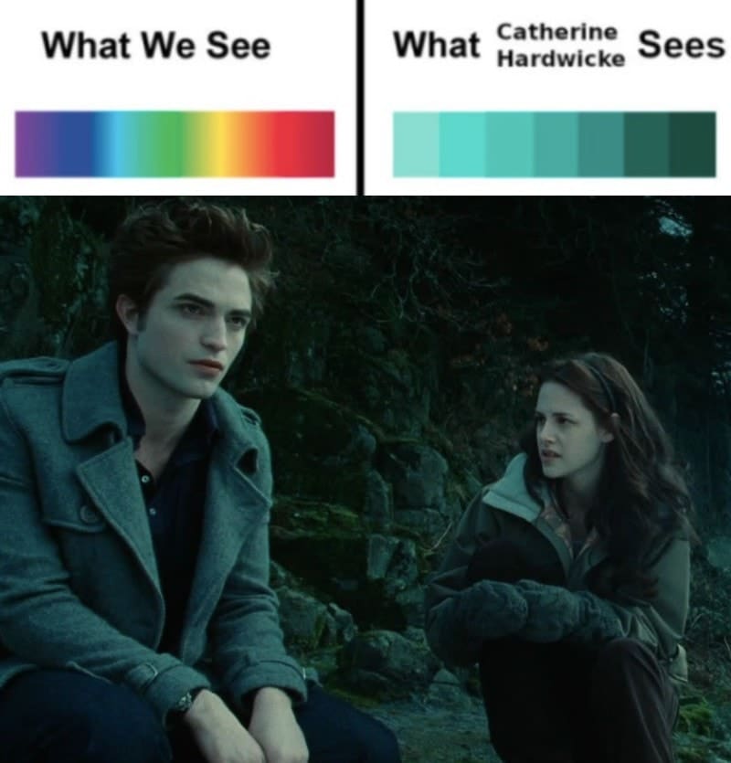 50 Twilight Memes that Are Far Superior to the Movies Page 15