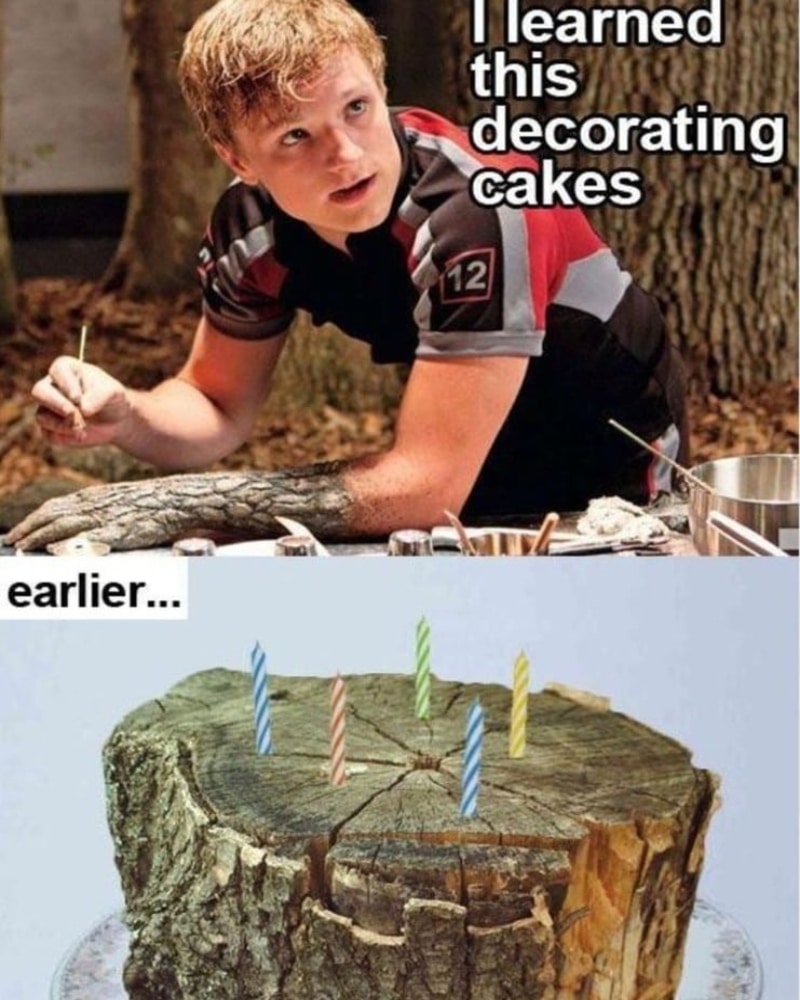 55 Hilarious Jokes And Memes That Only True “hunger Games” Fans Will Get Page 16