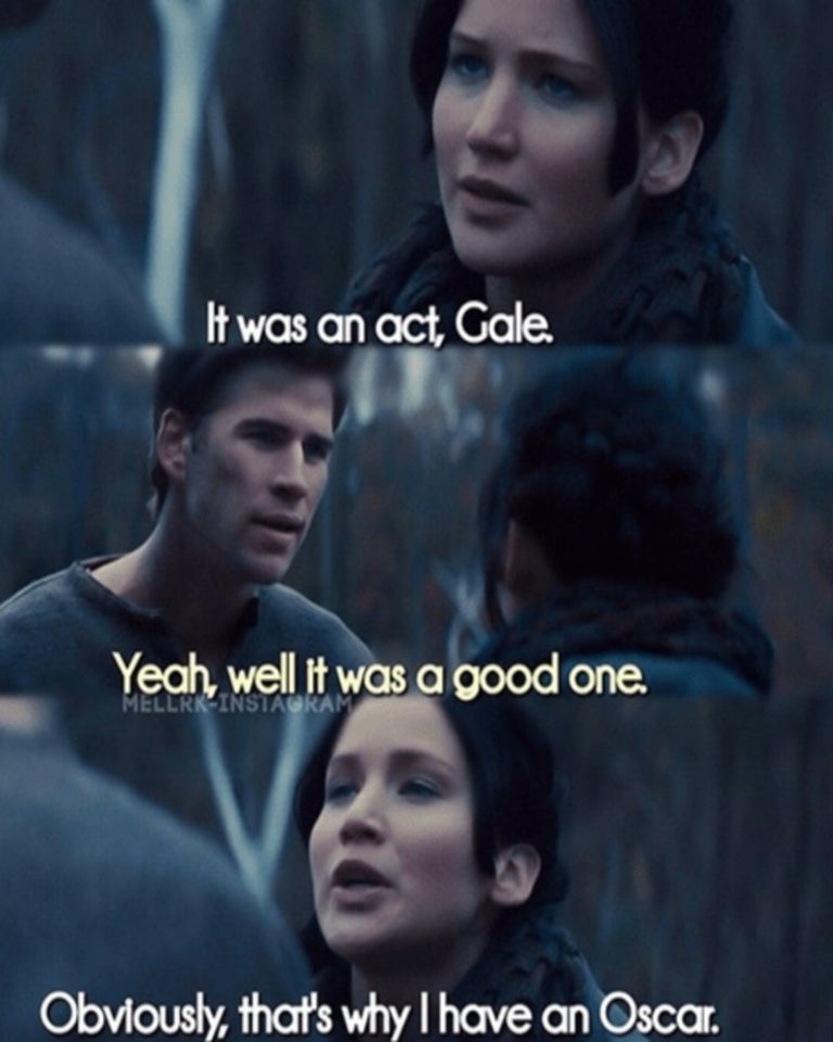 55 Hilarious Jokes And Memes That Only True “hunger Games” Fans Will Get Page 38 1750