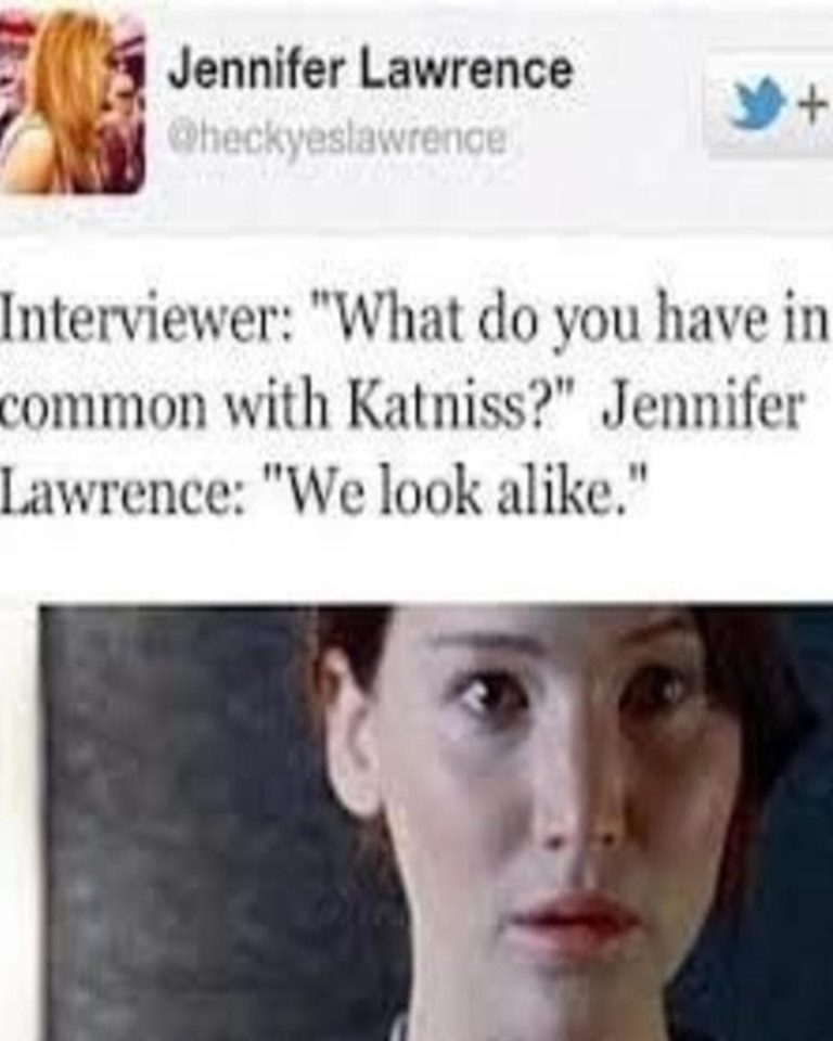 55 Hilarious Jokes And Memes That Only True “hunger Games” Fans Will Get Page 46