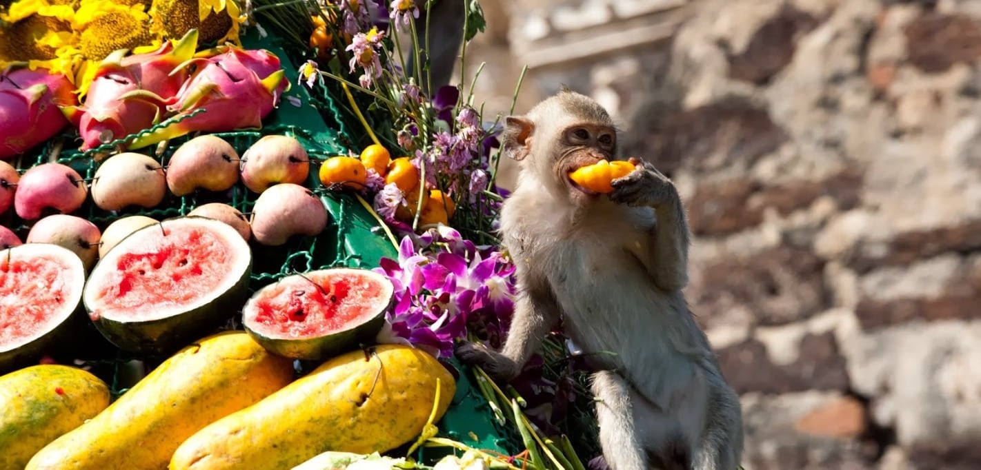 20 Bizarre Traditions from Around the World – Page 2