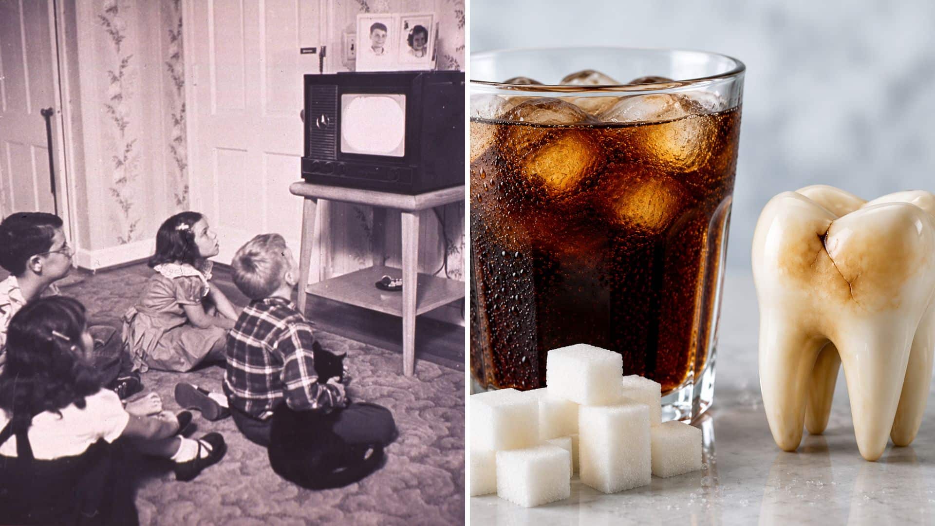 Everyday Domestic Myths That Refuse to Go Away