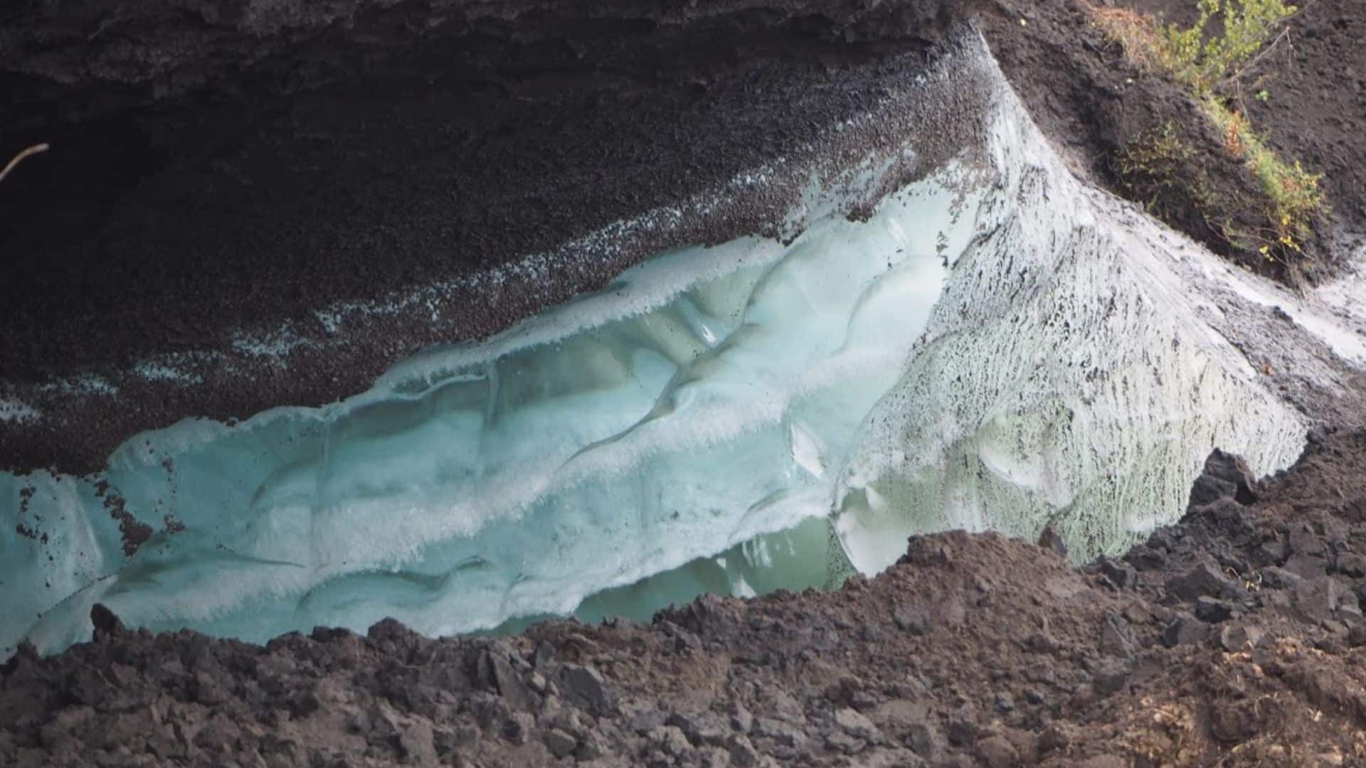 20 Naturally Occurring Sounds That Defy Expectations – Page 19